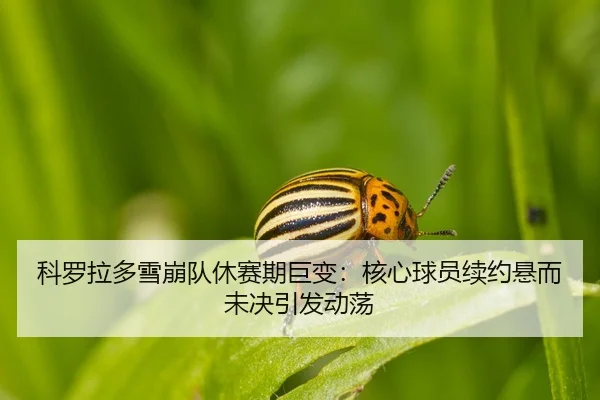 科罗拉多雪崩队休赛期巨变：核心球员续约悬而未决引发动荡