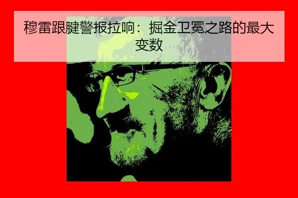mu-lei-gen-jian-jing-bao-la-xiang-jue-jin-wei-mian-zhi-lu-de-zui-da-bian-shu-2-939.jpg