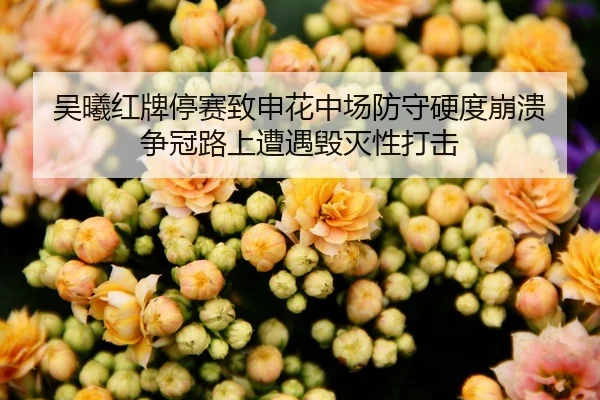 wu-xi-hong-pai-ting-sai-zhi-shen-hua-zhong-chang-fang-shou-ying-du-beng-kui-zheng-guan-lu-shang-zao-yu-hui-mie-xing-da-2-887.jpg